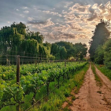 Glamping At The Well In Franschhoek Bagian luar foto