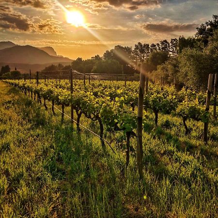 Glamping At The Well In Franschhoek Bagian luar foto